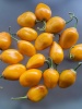 chili_de_seda