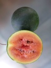 melone_sugar_baby